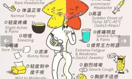 中药龙眼肉图片高清专区_中药饮片龙眼肉怎么吃专区_中药里龙眼肉图片网