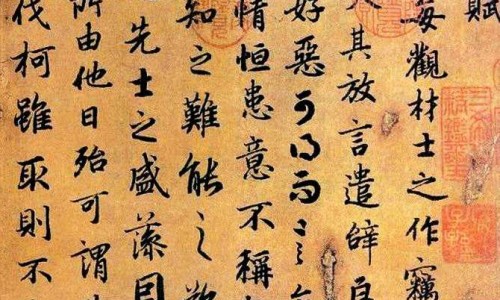 中药龙眼肉图片高清专区_中药饮片龙眼肉怎么吃专区_中药里龙眼肉图片网