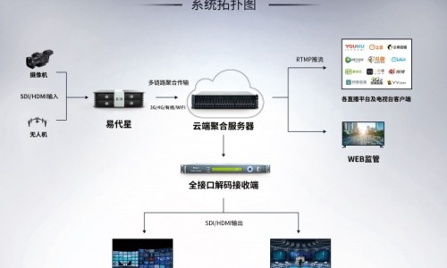 中药龙眼肉图片高清专区_中药饮片龙眼肉怎么吃专区_中药里龙眼肉图片网